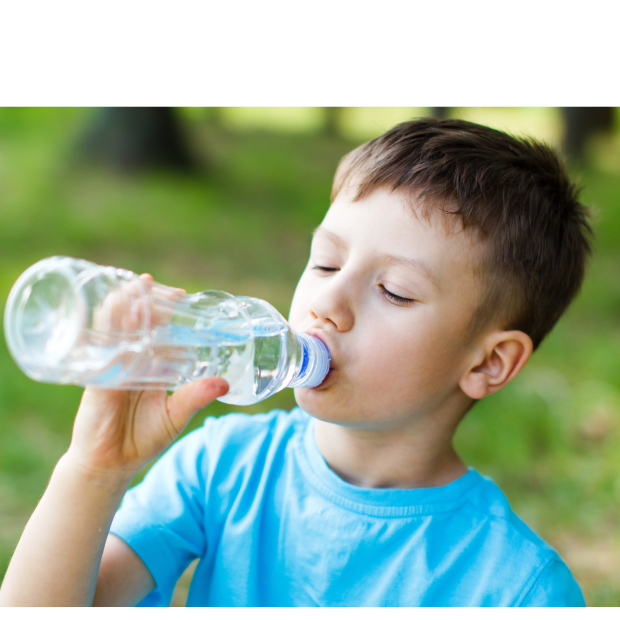 agua purificada Querétaro